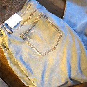 NWT Loft plus skinny jeans